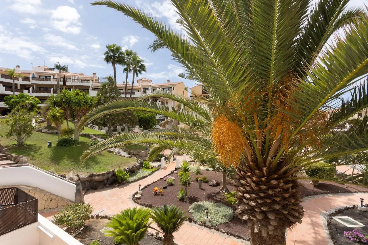 Oceanfront Tenerife South Abatros 254 San Miguel de Abona 0*,  Spain